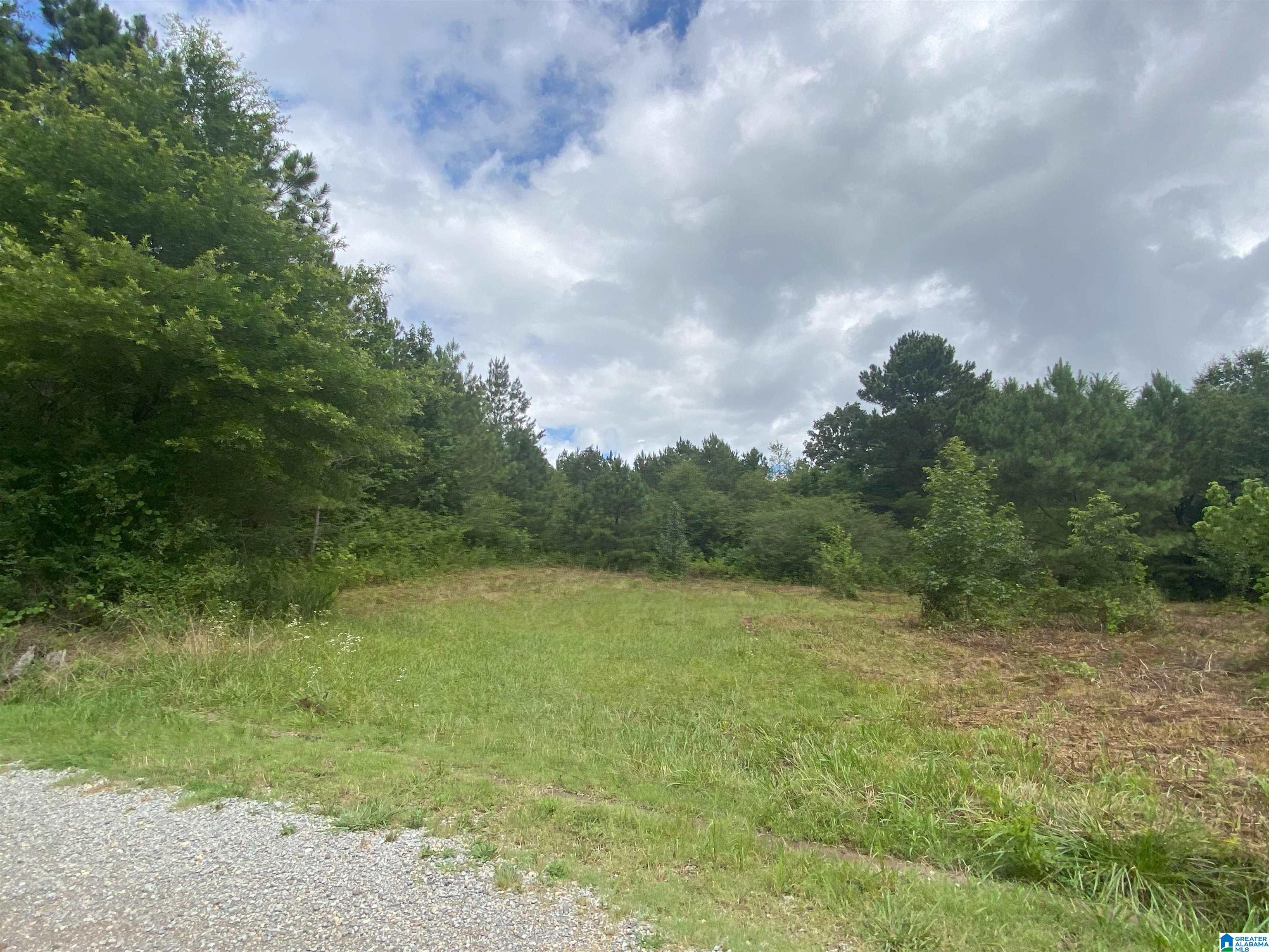 Buck Road, Unit 16 Cleveland, AL 35049 - Photo 1 of 2