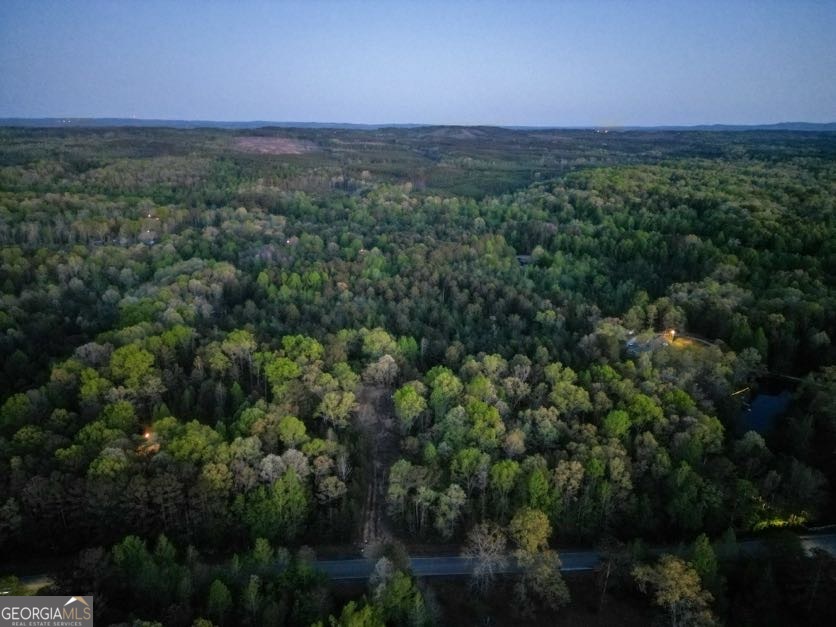 456 County Road 65 Fruithurst, AL 36262 - Photo 3 of 5