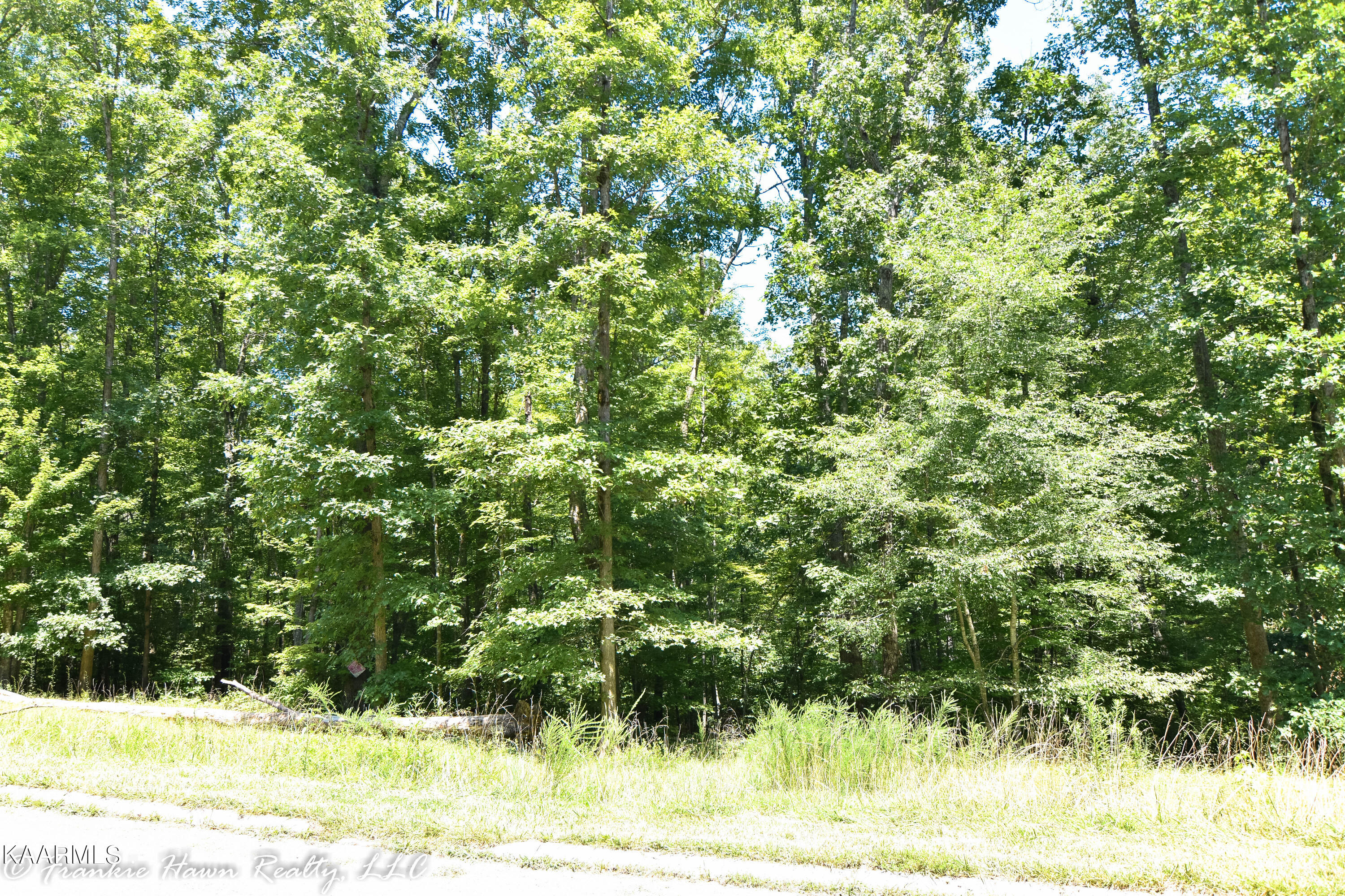 13 Eagle Ridge Road Rockwood, TN 37854 - Photo 1 of 7 DSC_0236