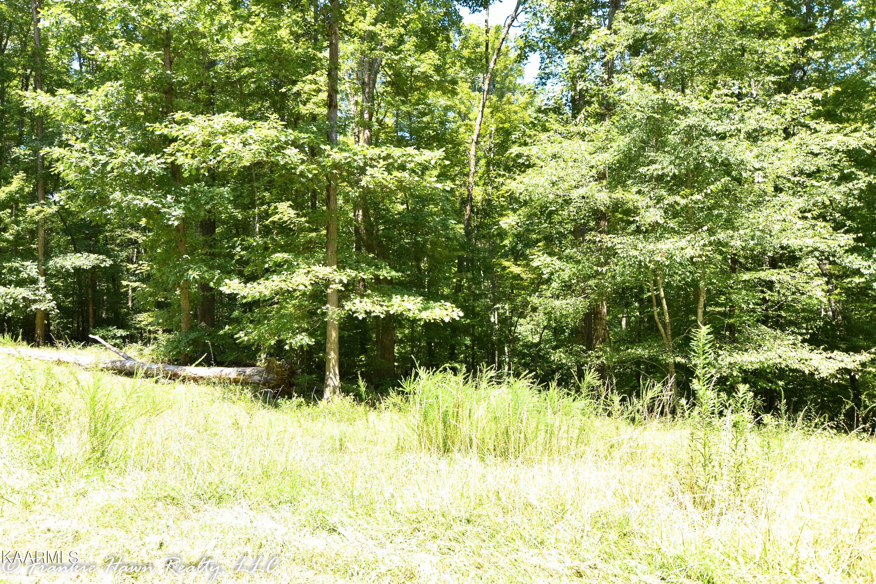 13 Eagle Ridge Road Rockwood, TN 37854 - Photo 2 of 7 DSC_0239