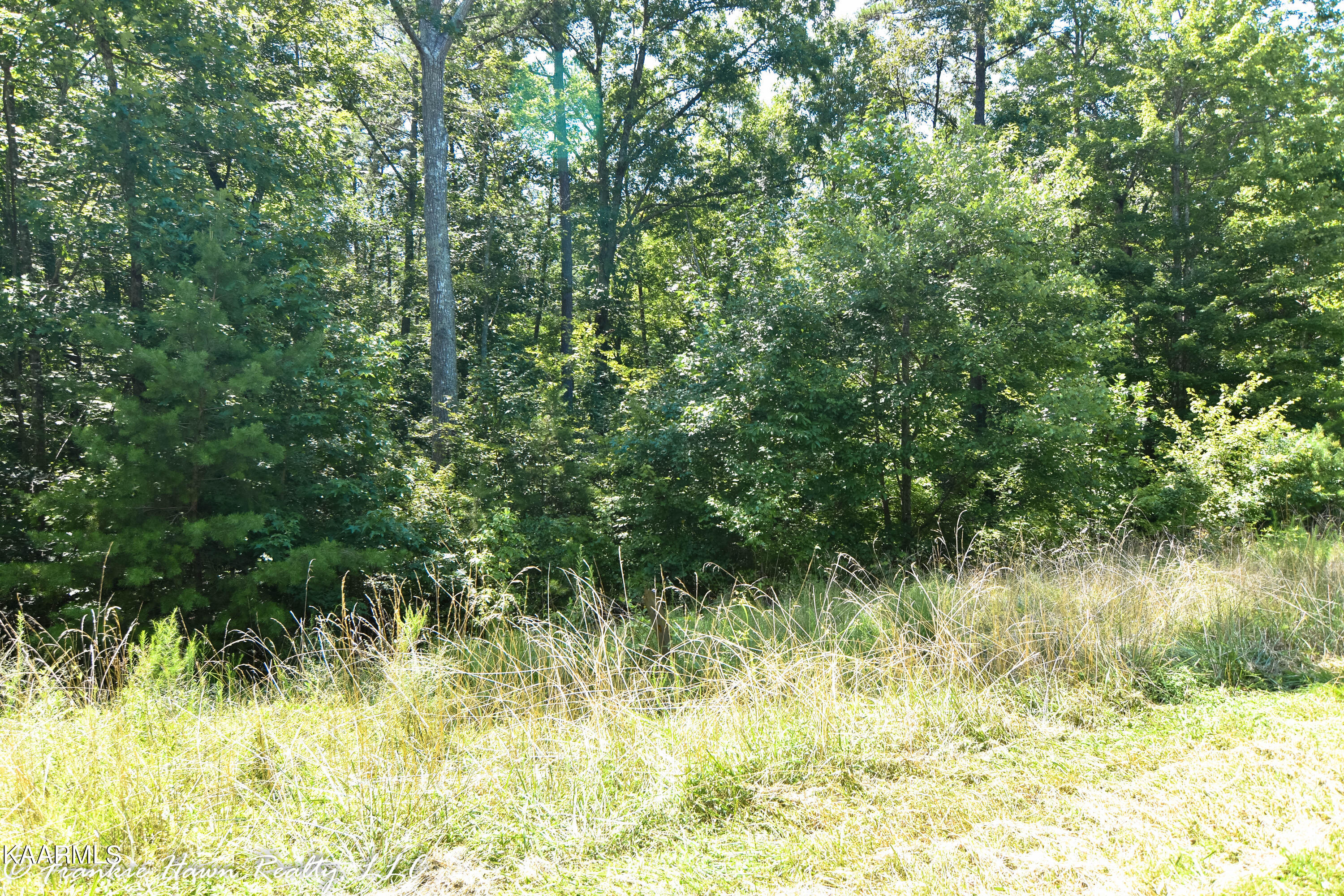 13 Eagle Ridge Road Rockwood, TN 37854 - Photo 3 of 7 DSC_0240