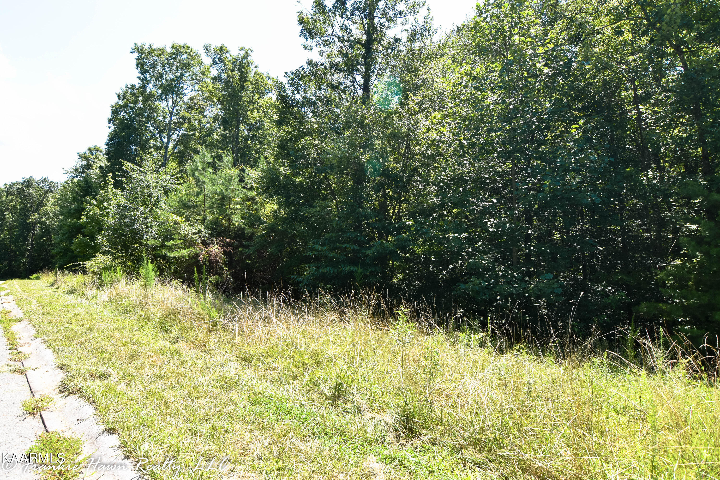 13 Eagle Ridge Road Rockwood, TN 37854 - Photo 5 of 7 DSC_0242