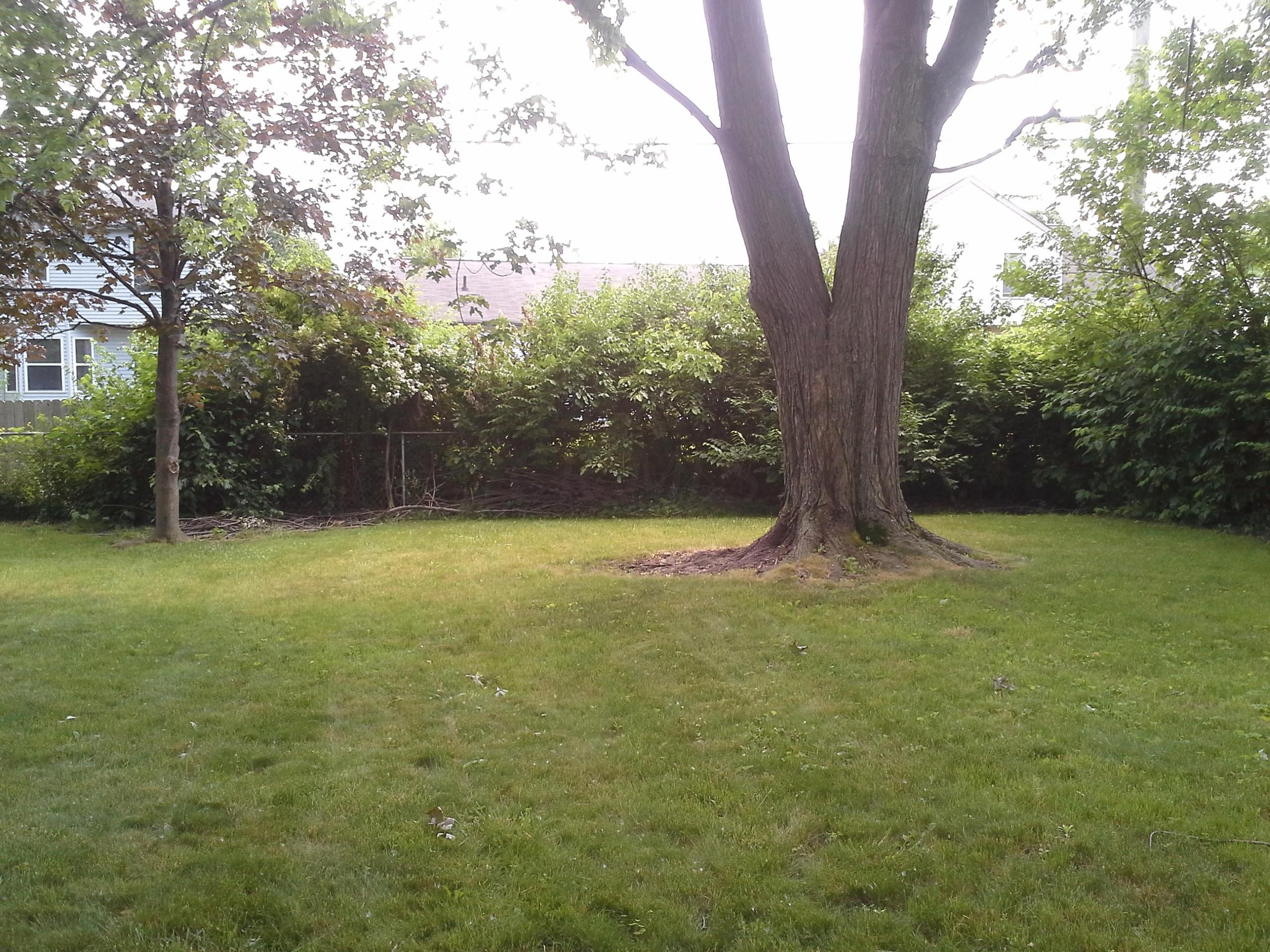 2209 Balmoral Road Columbus, OH 43229 - Photo 21 of 21 Gallery Image 21