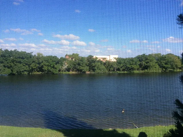 a view of a lake with a yard