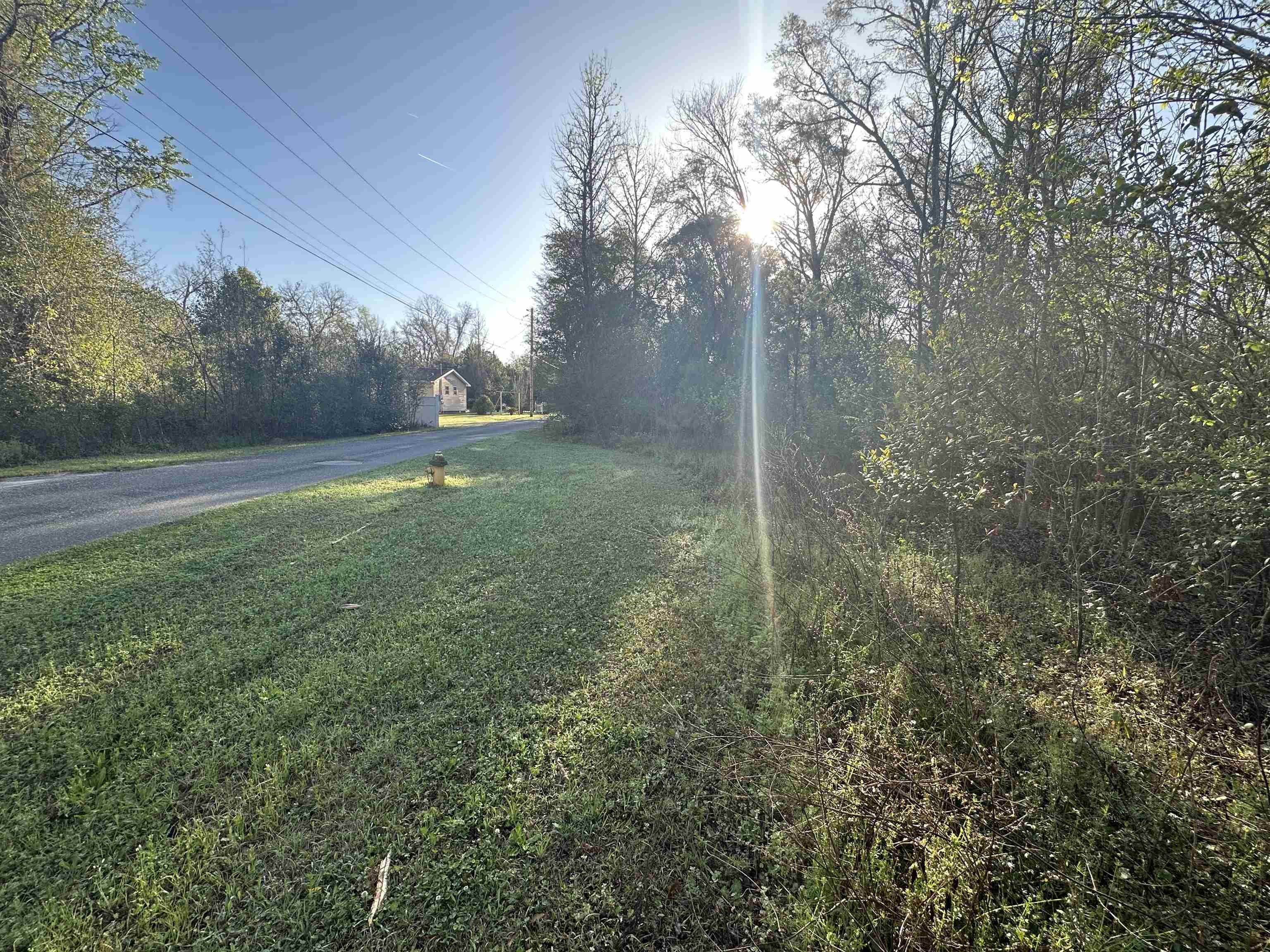 Xx Crayfish Road Chattahoochee, FL 32324 - Photo 4 of 7