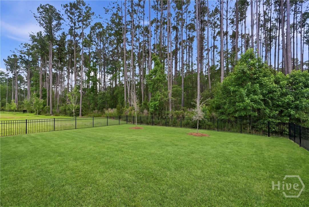 120 Charles Lane Pooler, GA 31322 - Photo 18 of 24