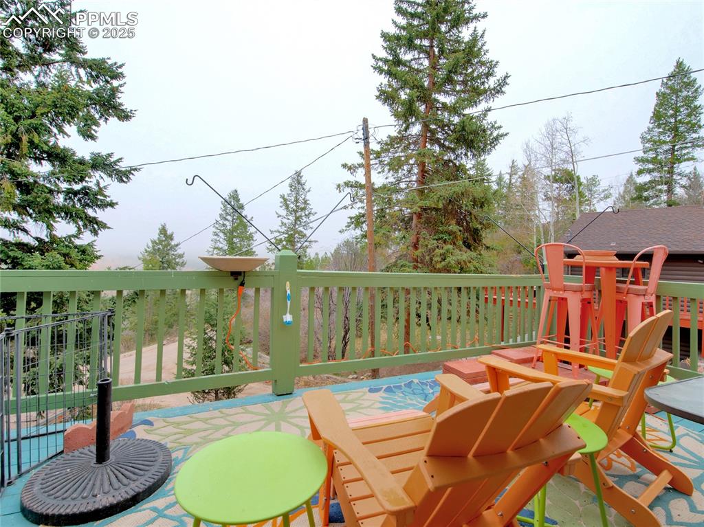 6020 Sioux Trail Cascade, CO 80809 - Photo 18 of 24