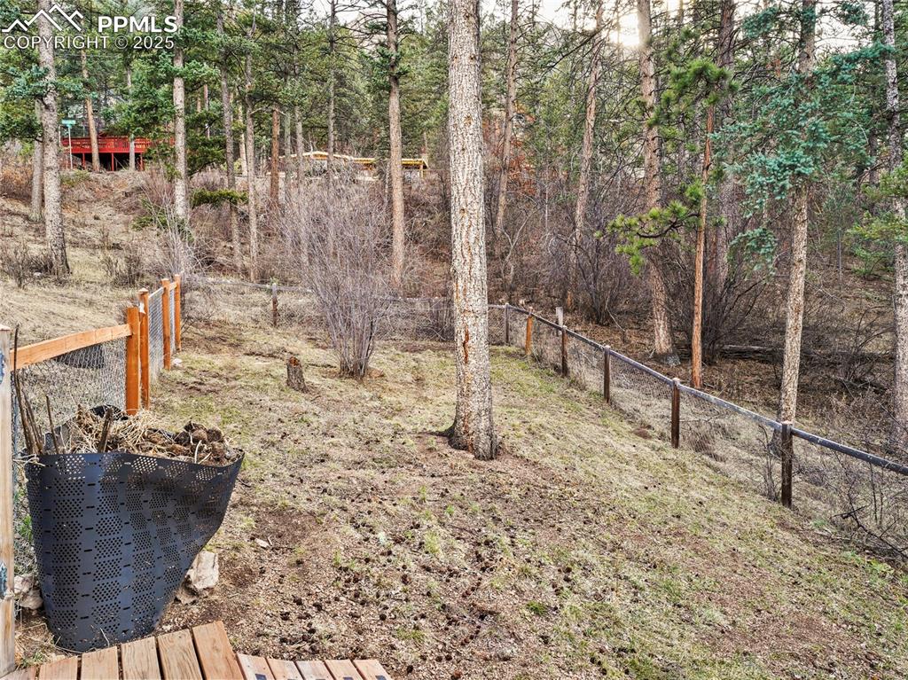 6020 Sioux Trail Cascade, CO 80809 - Photo 19 of 24 Actually this is a great dog run if you need it.