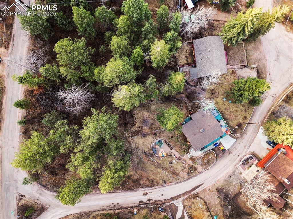 6020 Sioux Trail Cascade, CO 80809 - Photo 24 of 24