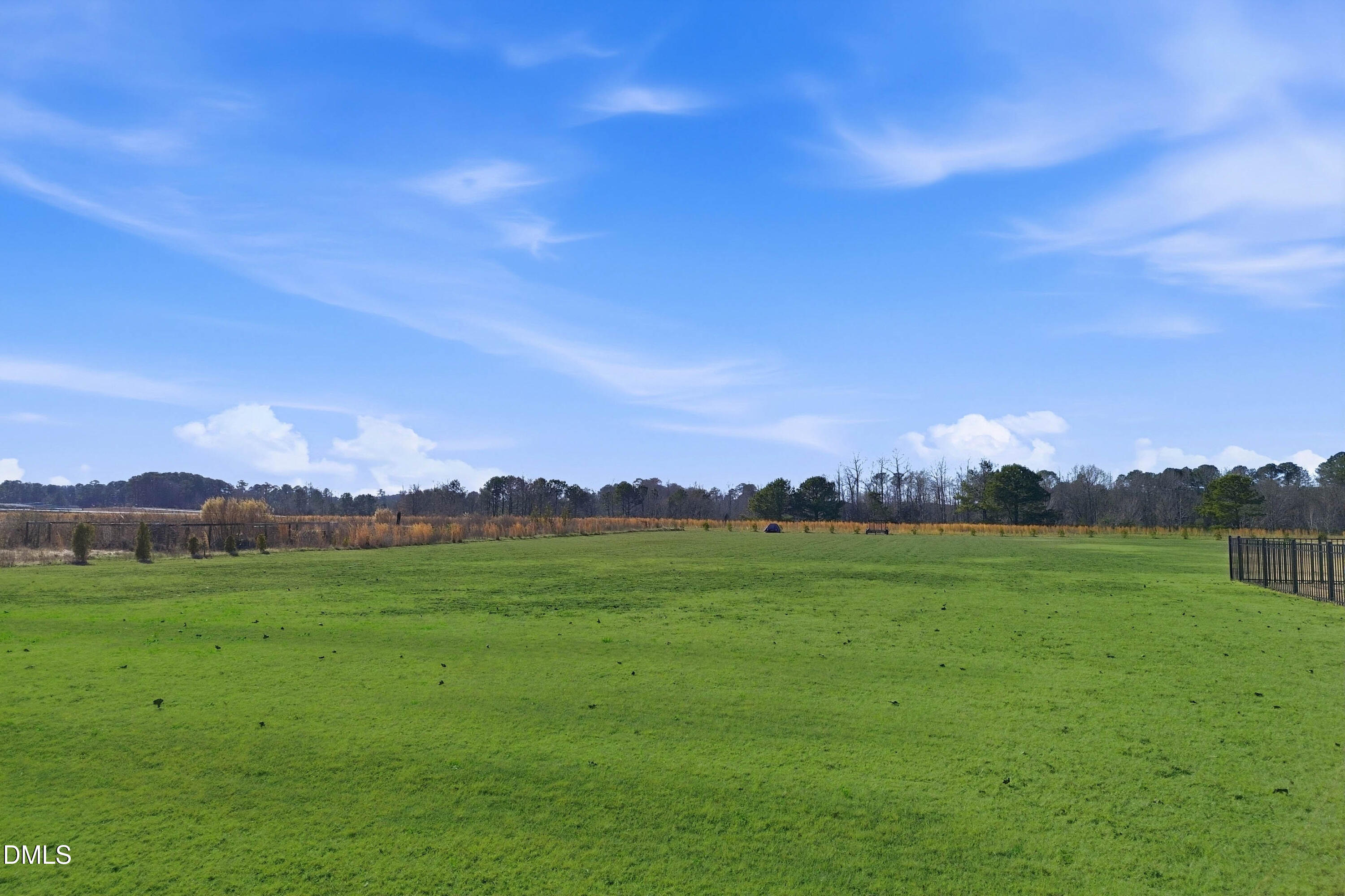 6039 Farmwood Loop Wilson, NC 27896 - Photo 24 of 27 a view of an mountain and a yard