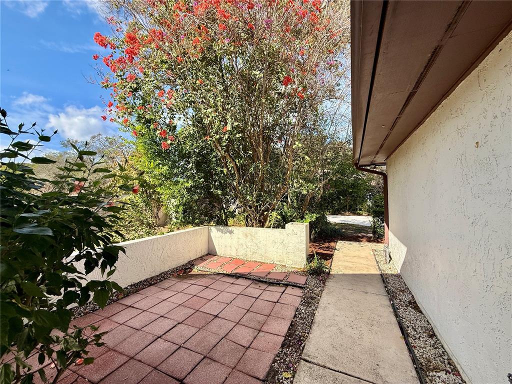 758 Warrenton Road Winter Park, FL 32792 - Photo 41 of 52 a picture of trees