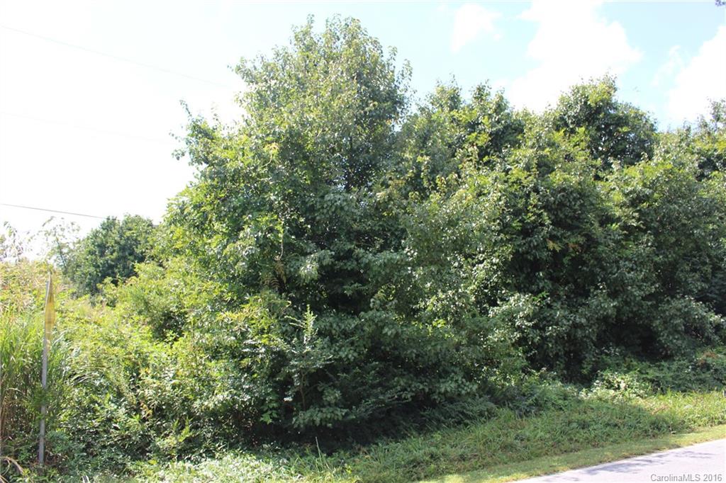 0 Valley View Road Mills River, NC 28759 - Photo 1 of 5 Gallery Image 1