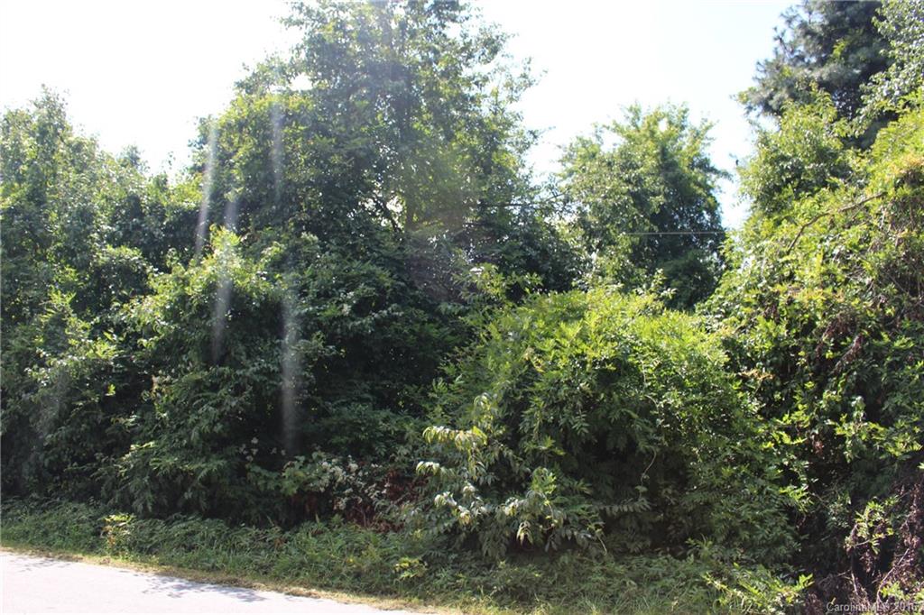 0 Valley View Road Mills River, NC 28759 - Photo 4 of 5 Gallery Image 4