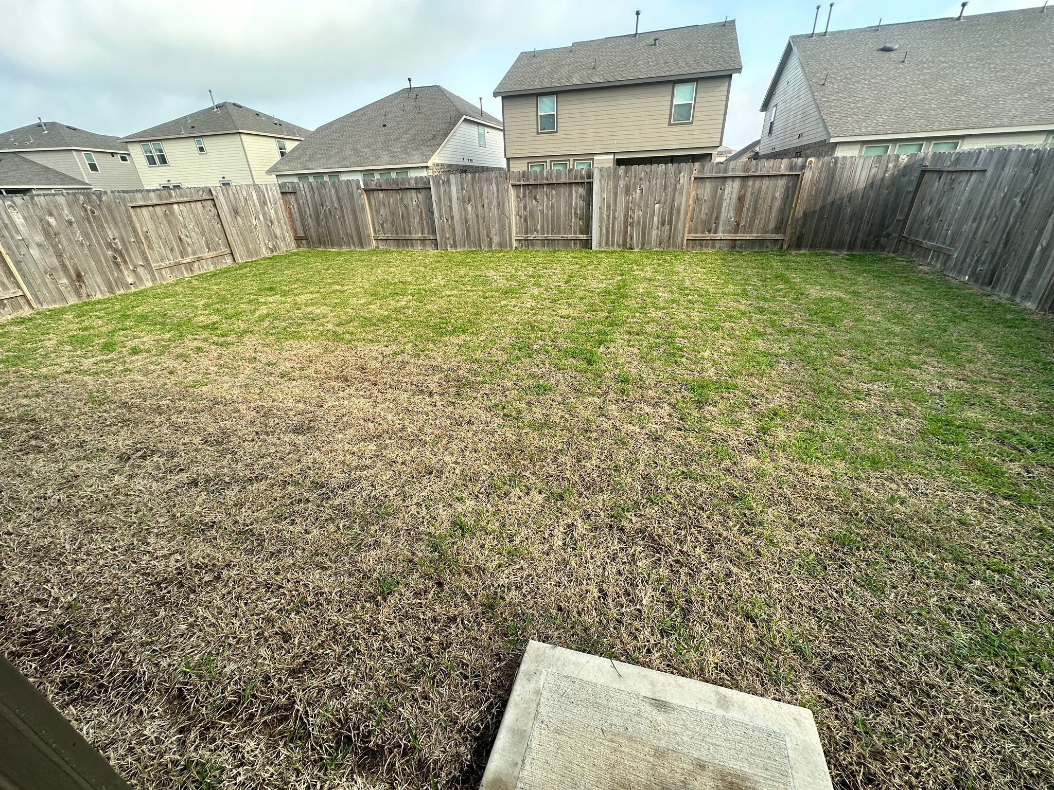 25406 Rustic Sq Trace Katy, TX 77493 - Photo 13 of 14 a view of a backyard with a garden