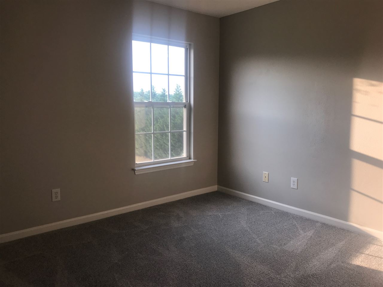 103 Wofford Road Taylors, SC 29687 - Photo 14 of 36 Gallery Image 14