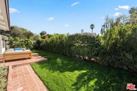 a view of a yard with plants
