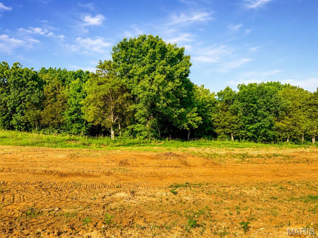 217 Fiddlers Close Road, Unit 17 STB Washington, MO 63090 - Photo 4 of 5