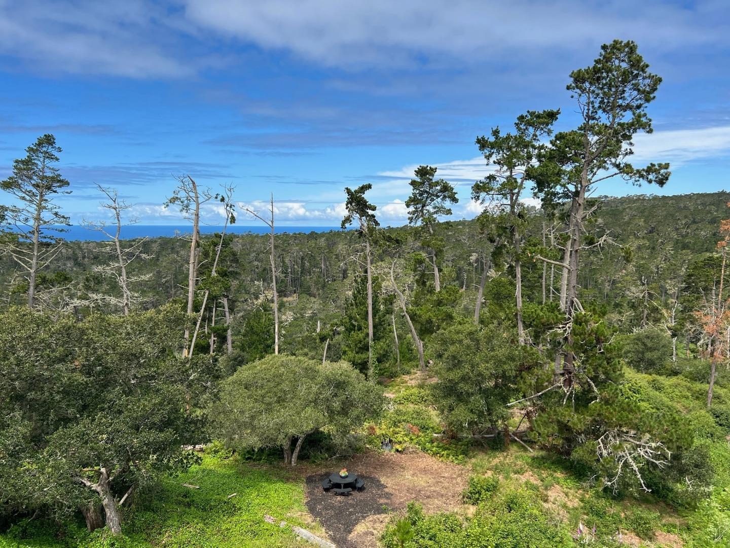 24312 San Juan Road Carmel, CA 93923 - Photo 44 of 47