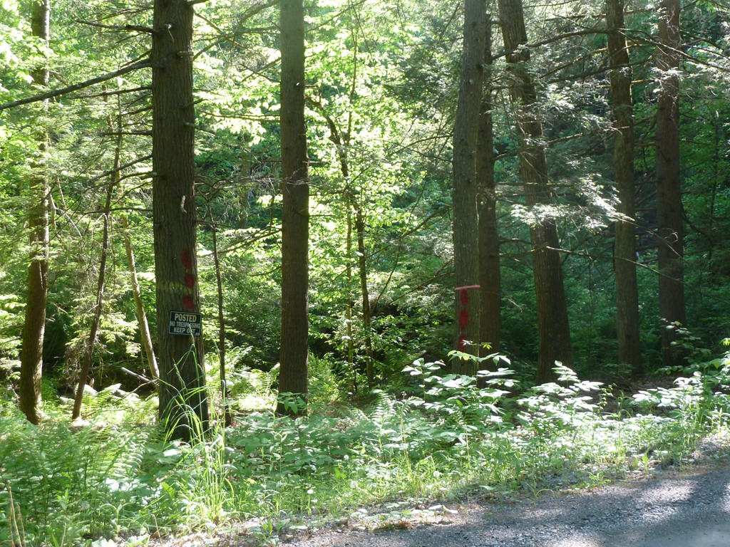 Lot 1 West Gill Road Gill, MA 01354 - Photo 16 of 31 Gallery Image 16