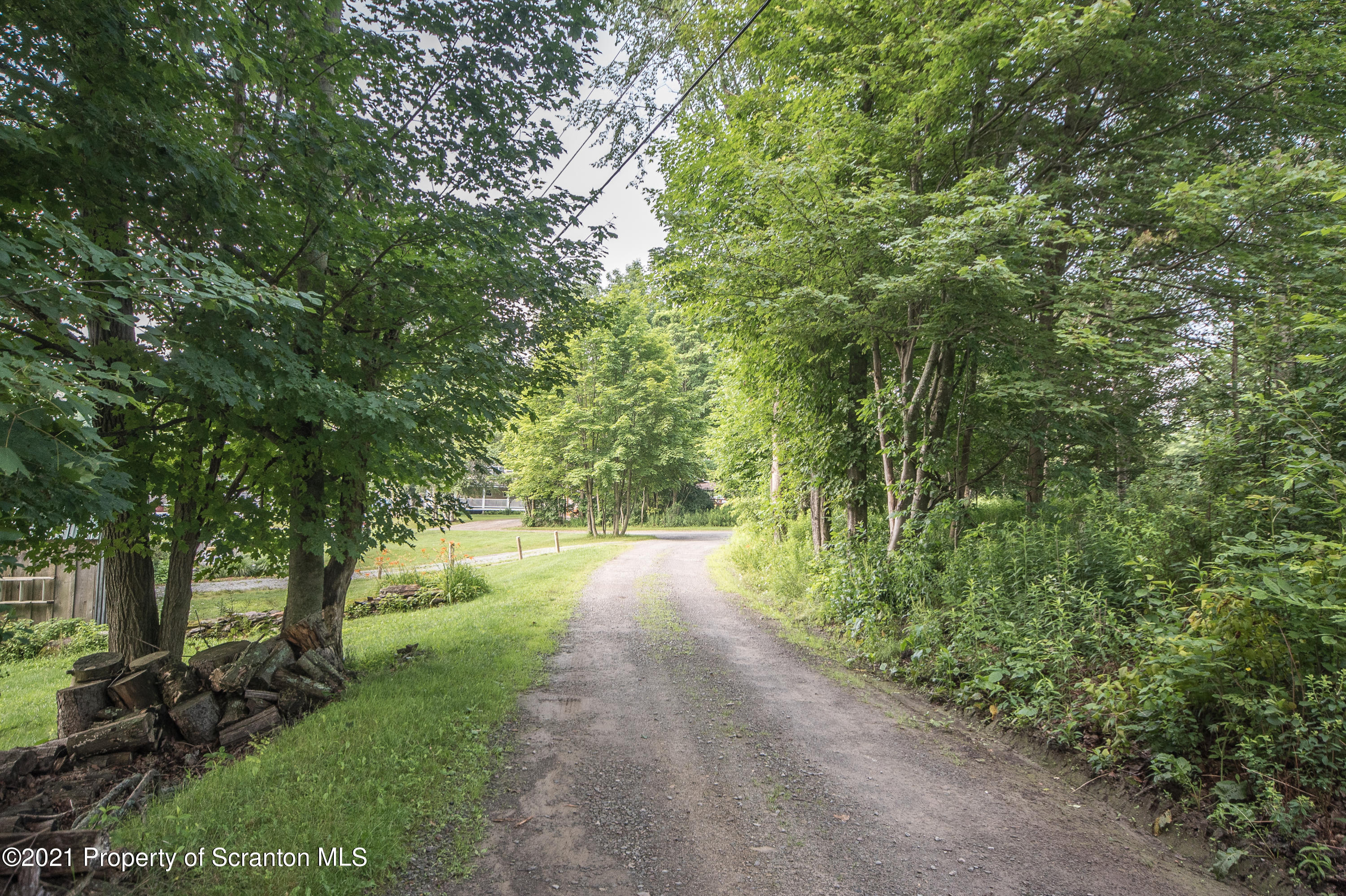 34 Taylor Farm Road Union Dale, PA 18470 - Photo 15 of 38 a view of a yard with plants and large trees