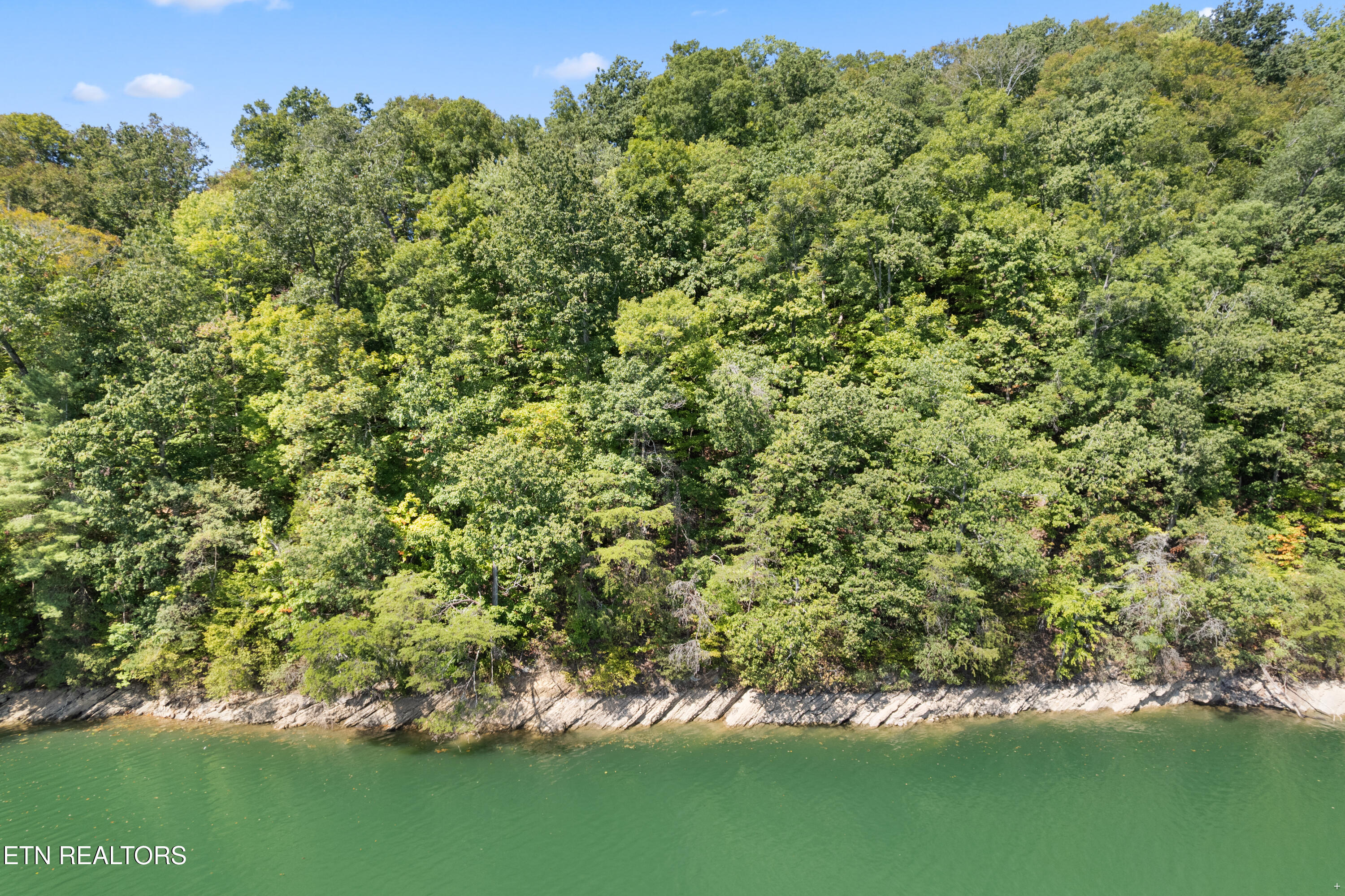 Lot 36 Ridgeview Circle Sharps Chapel, TN 37866 - Photo 9 of 19 Lot 36