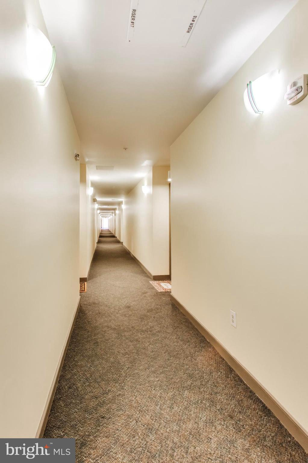 8045 Newell Street, Unit 118 Silver Spring, MD 20910 - Photo 9 of 39 Hallway to unit