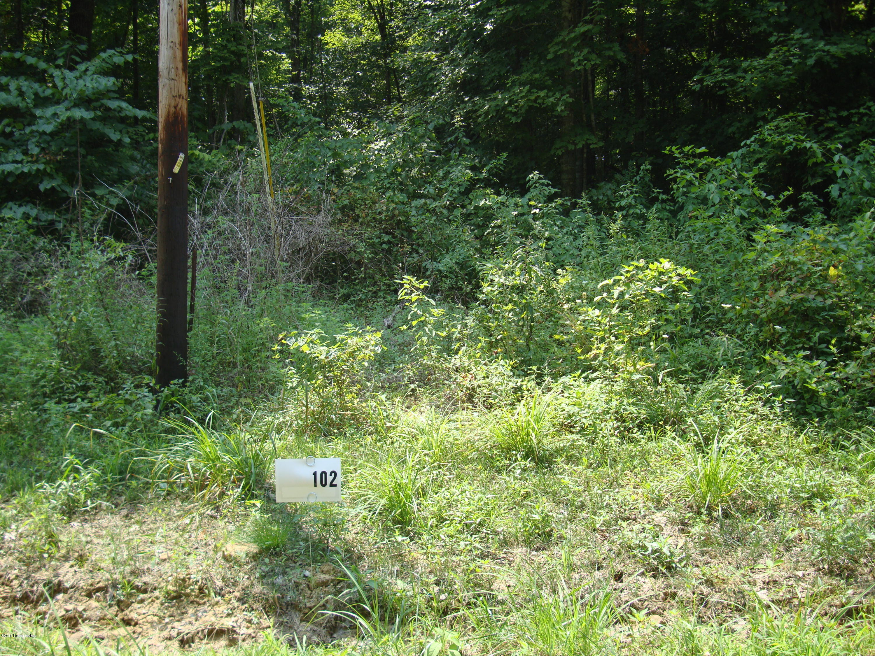 Lot 102 Gannaway Road Leitchfield, KY 42754 - Photo 1 of 1 lot 102