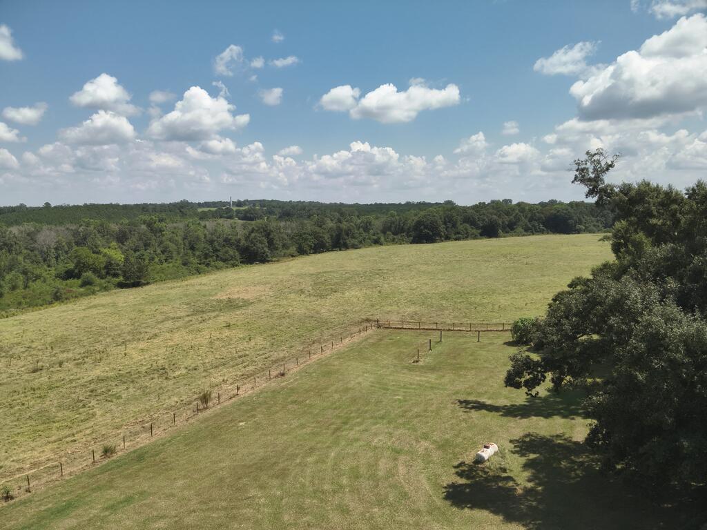218 Chaney Branch Road Clio, AL 36017 - Photo 61 of 72 Gallery Image 61