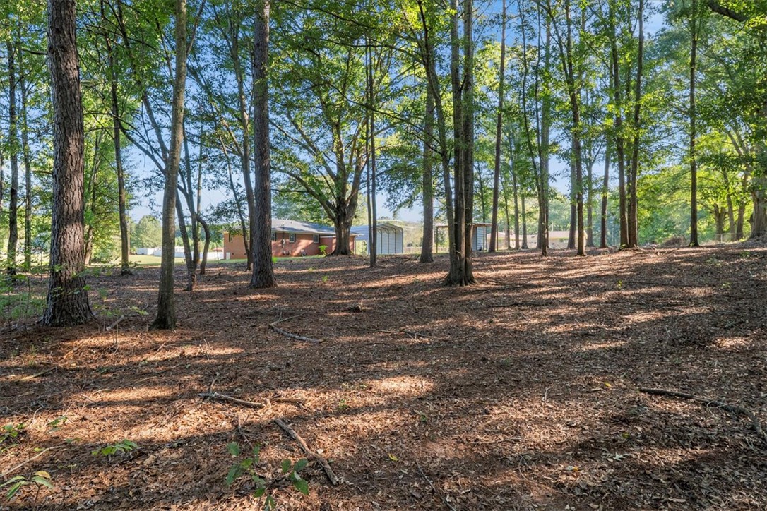 800 Murphy Road Anderson, SC 29626 - Photo 21 of 25 Gallery Image 21