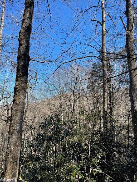 Lot E-15 Lot E-15 Laurel Ridge Road Banner Elk, NC 28604 - Photo 3 of 9 Gallery Image 3