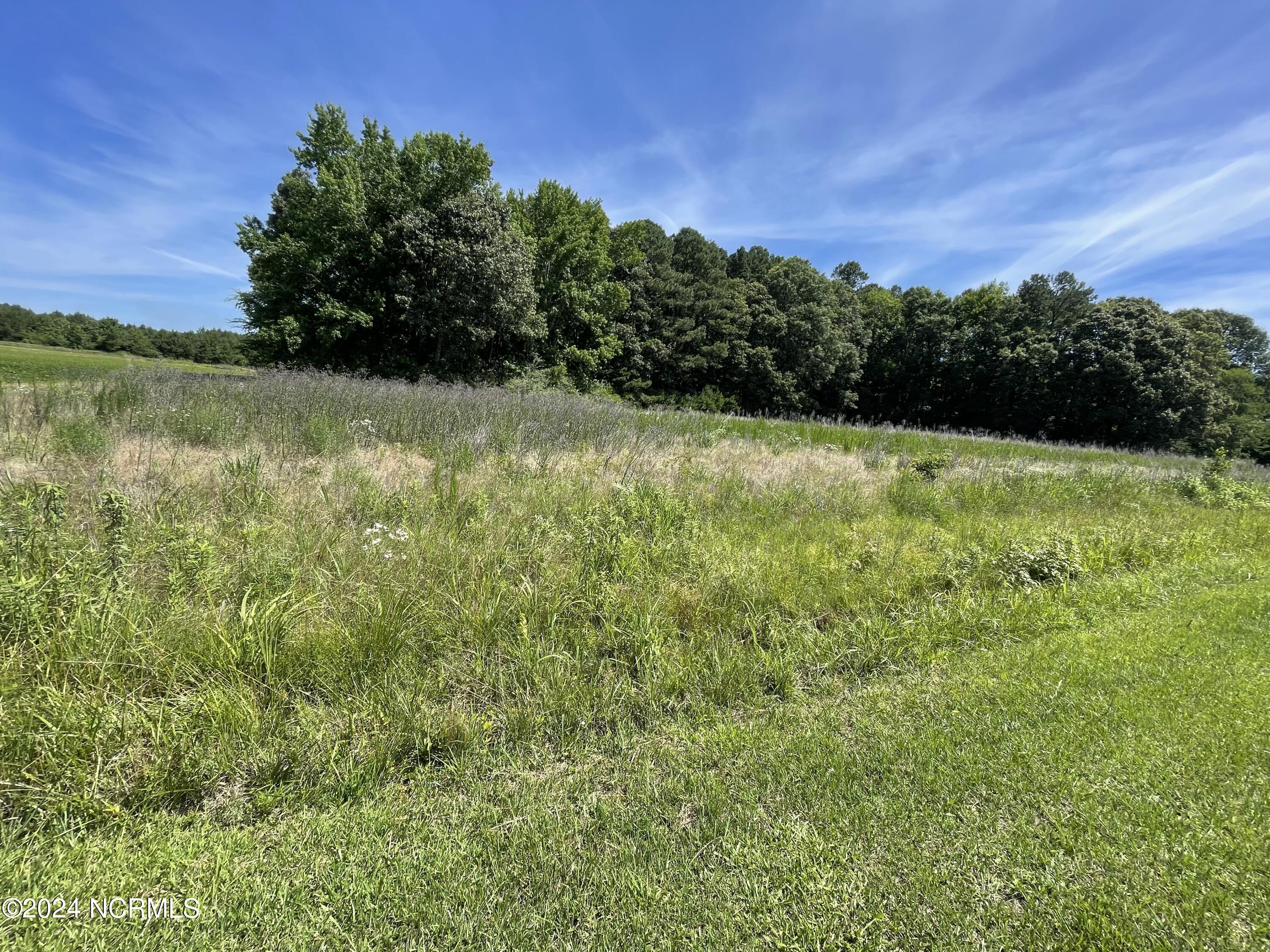 839-845 Cooper Hill Road Windsor, NC 27983 - Photo 10 of 11 Cooper Hill-2