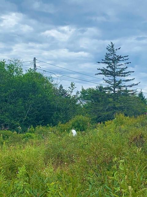 28 Clark Point Road Tremont, ME 04612 - Photo 11 of 12 Libhart3