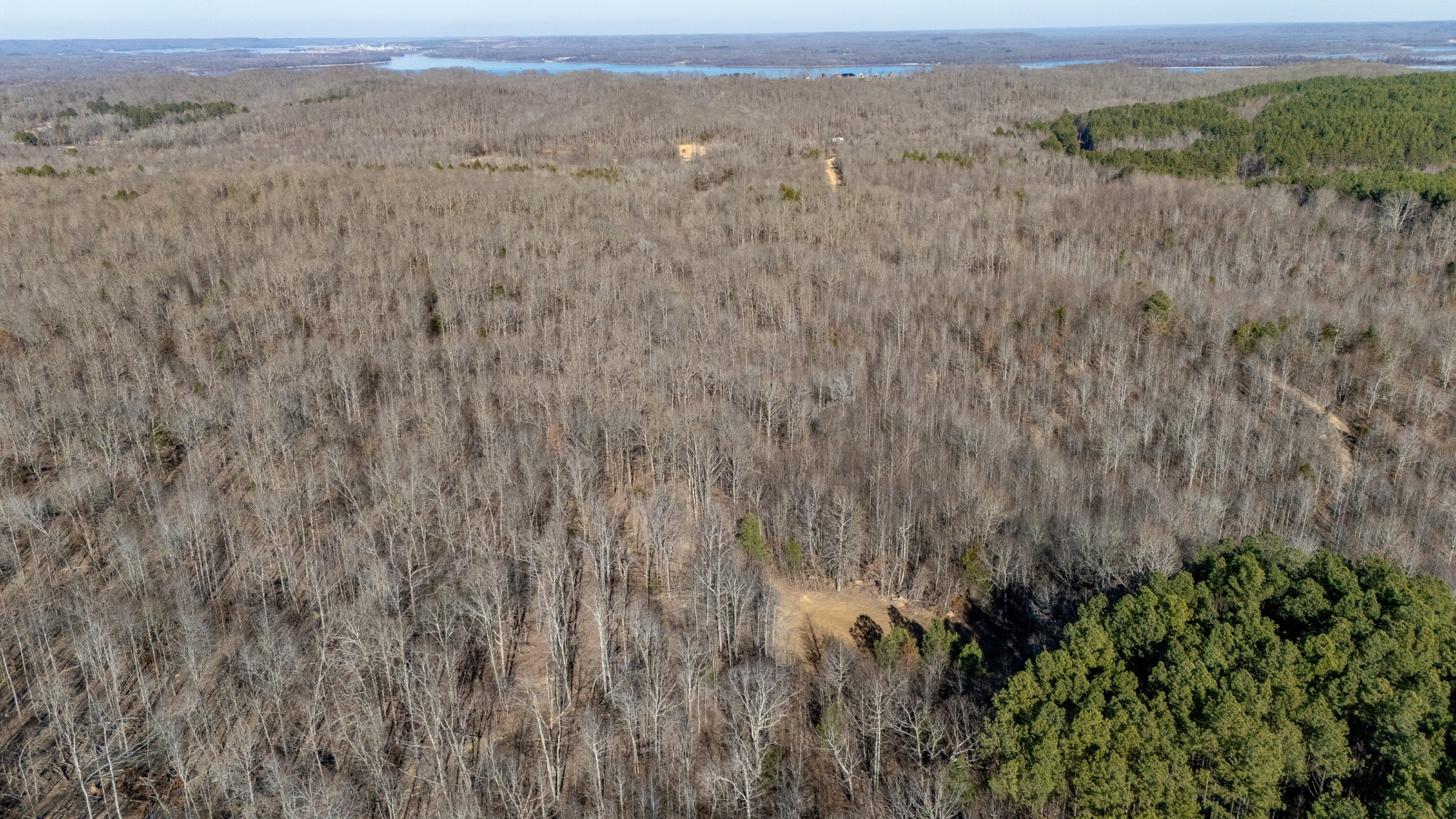 0 Coxburg Road South Holladay, TN 38341 - Photo 1 of 15 a view of a lush green field