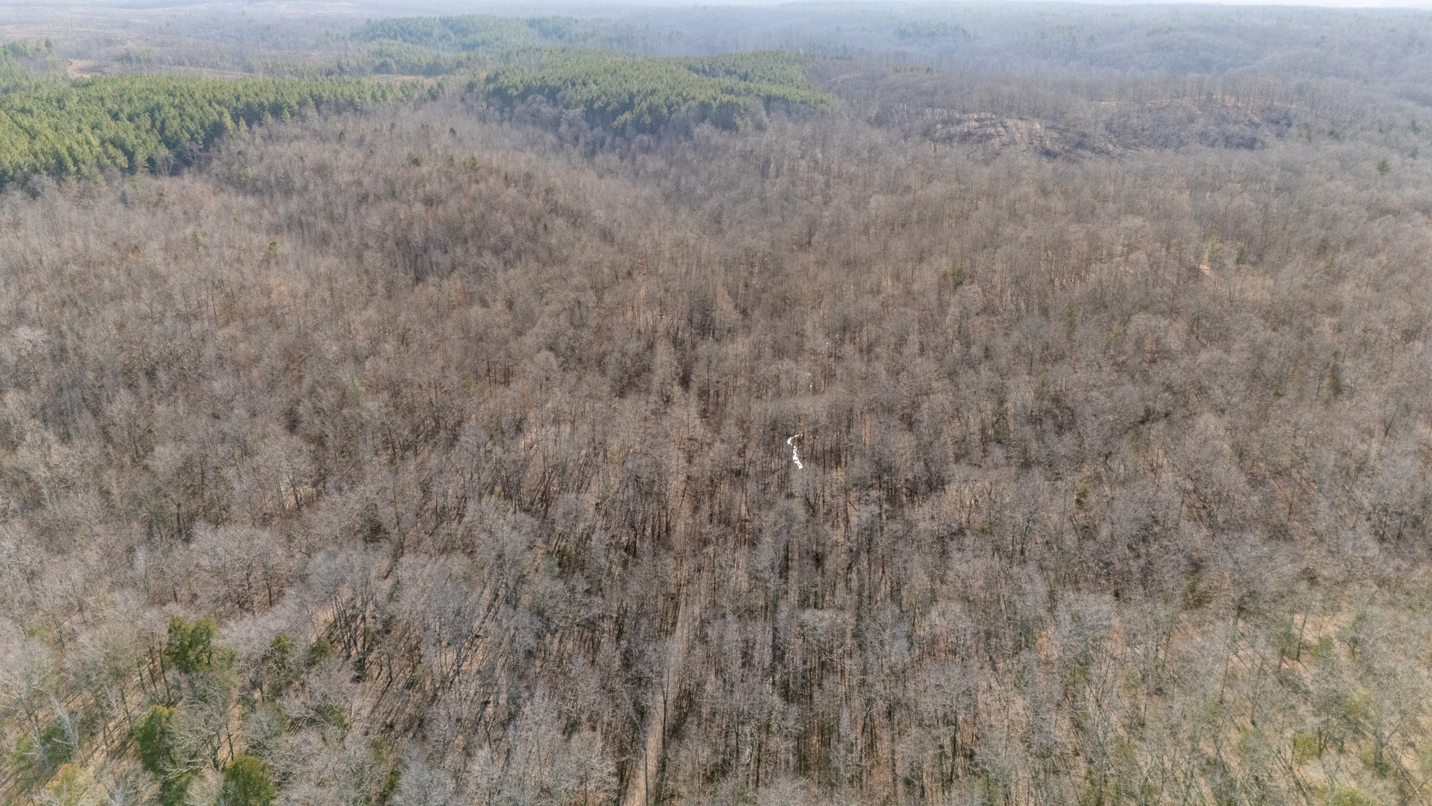 0 Coxburg Road South Holladay, TN 38341 - Photo 11 of 15 a view of a dry yard with wooden fence