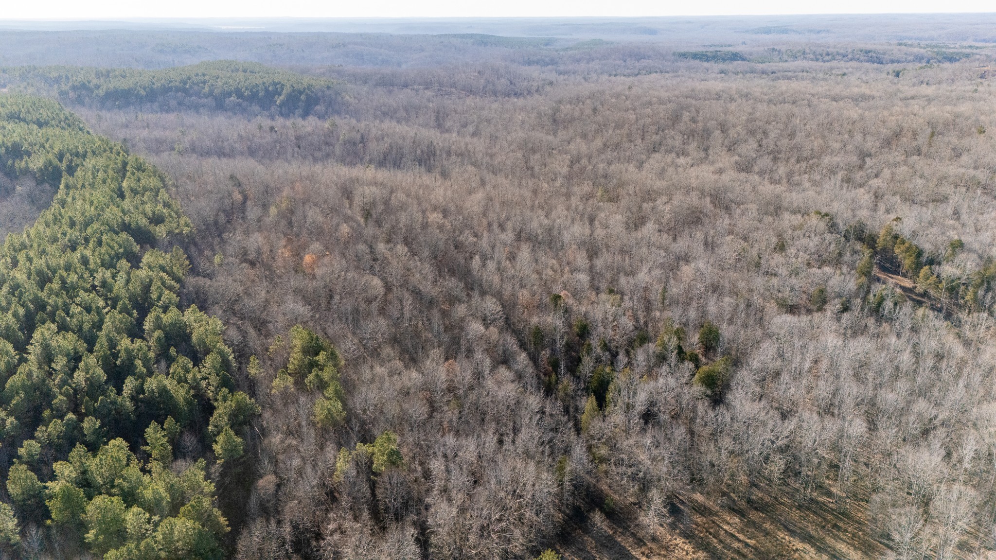 0 Coxburg Road South Holladay, TN 38341 - Photo 12 of 15 a view of a field of grass and trees