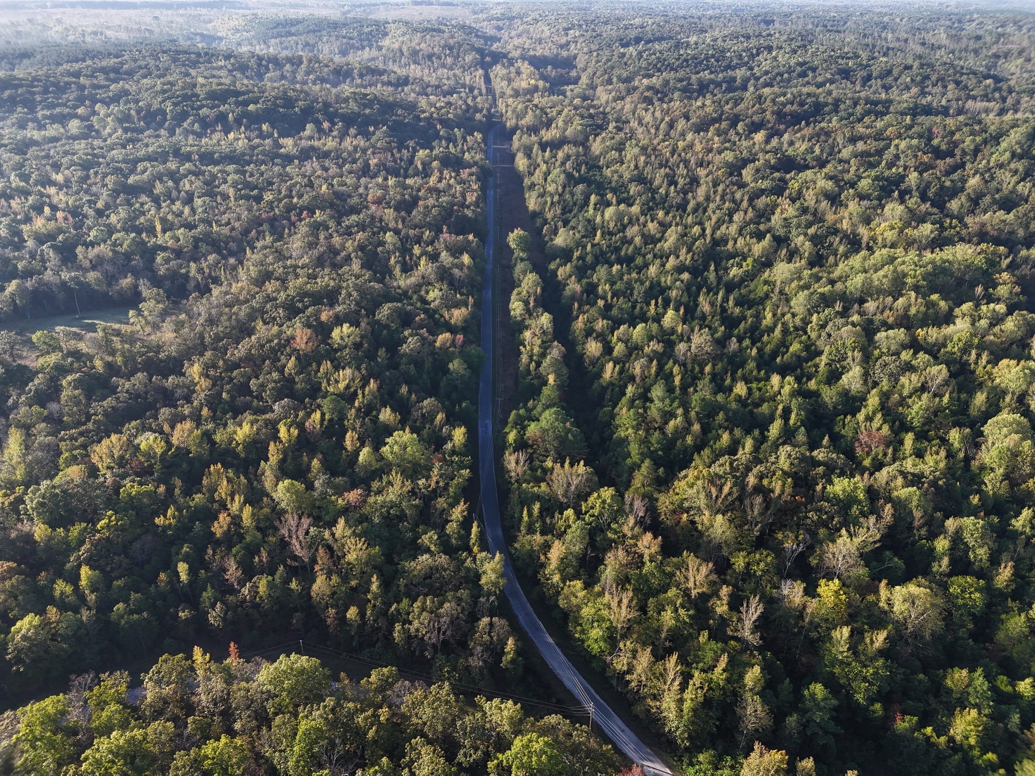 0 Coxburg Road South Holladay, TN 38341 - Photo 13 of 15 a view of city from balcony