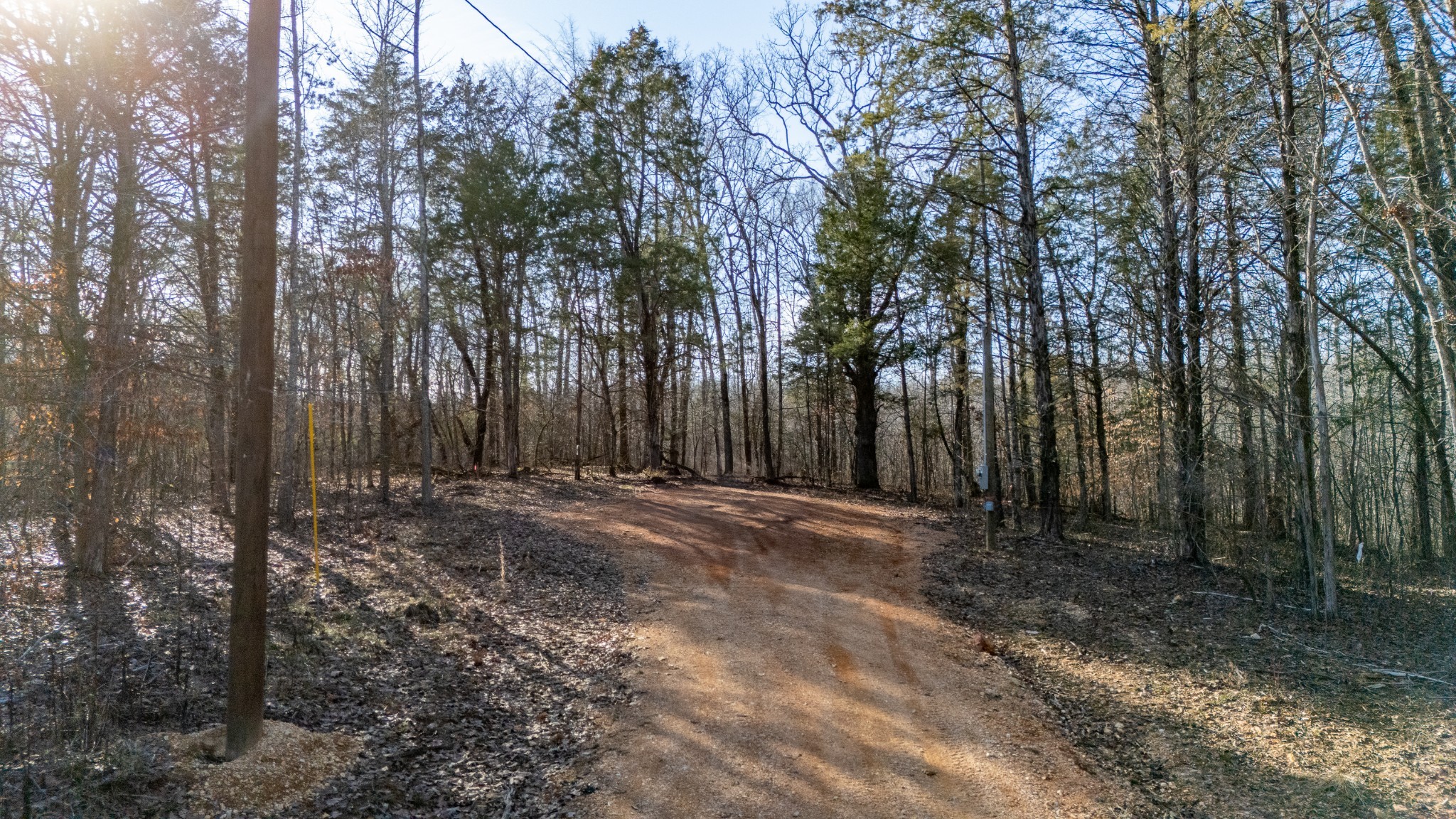 0 Coxburg Road South Holladay, TN 38341 - Photo 2 of 15 a view of a forest with trees in the background