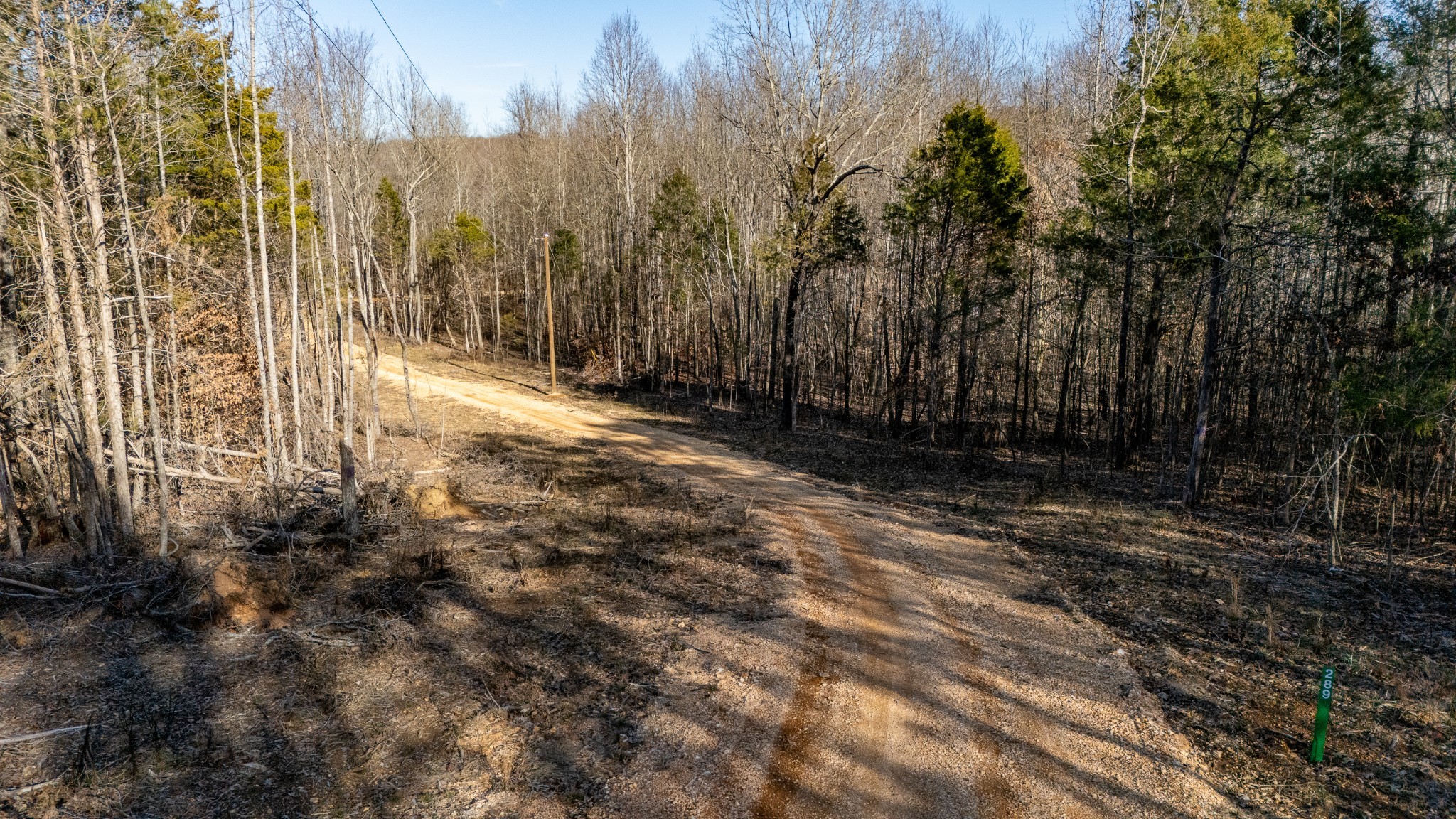 0 Coxburg Road South Holladay, TN 38341 - Photo 3 of 15 a view of backyard with green space