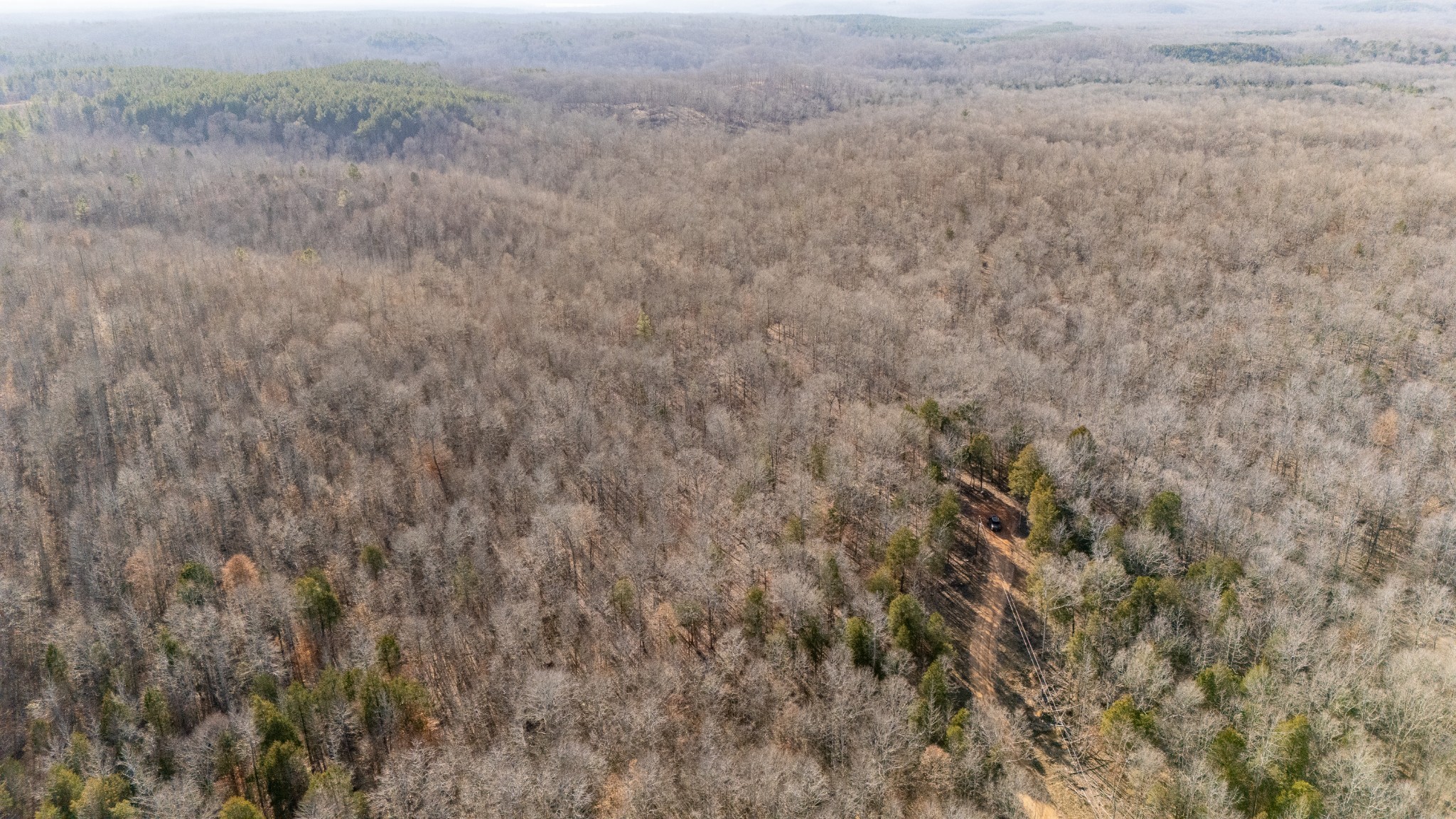 0 Coxburg Road South Holladay, TN 38341 - Photo 5 of 15