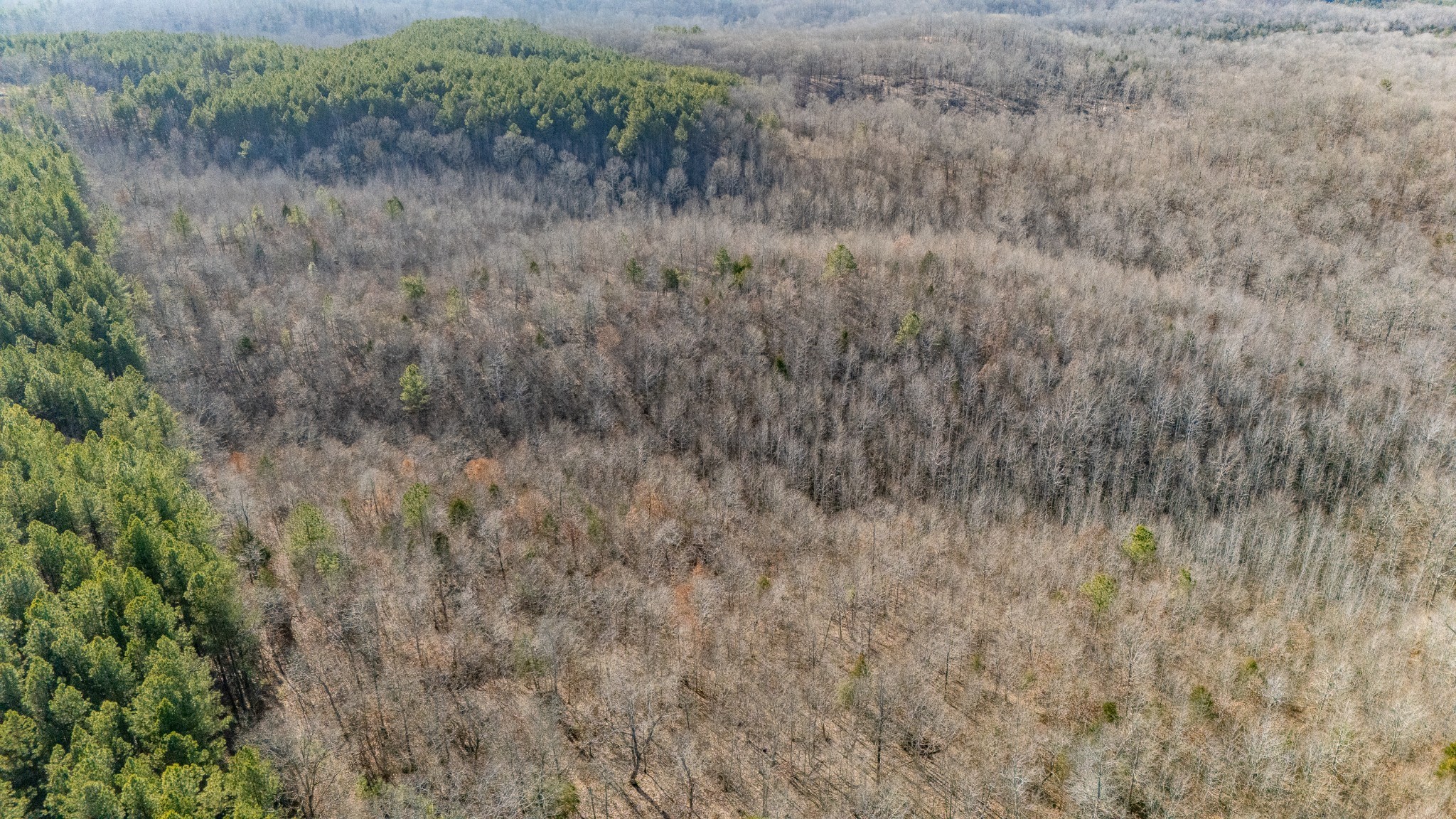 0 Coxburg Road South Holladay, TN 38341 - Photo 8 of 15 a view of a dry field