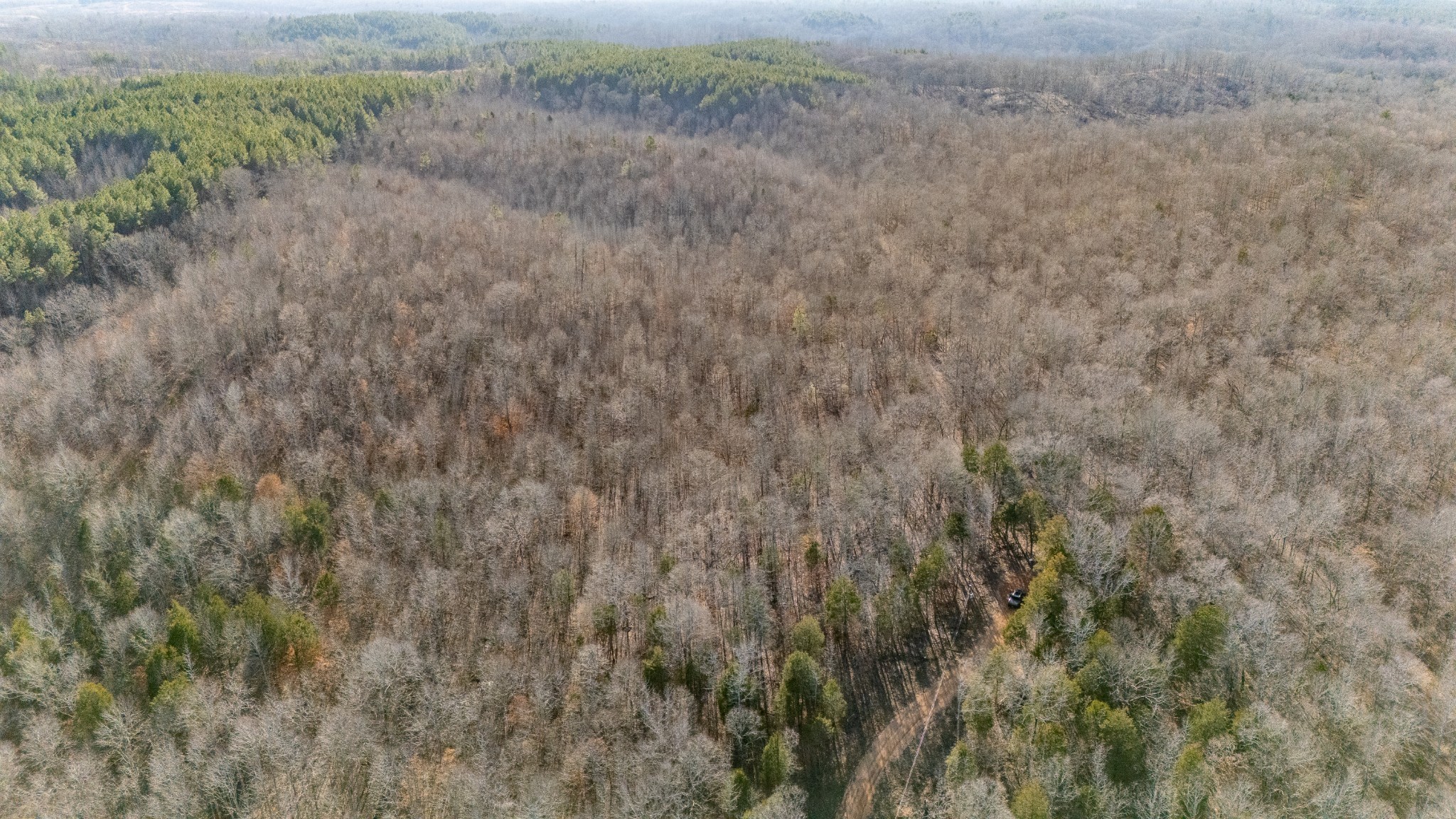 0 Coxburg Road South Holladay, TN 38341 - Photo 10 of 15 a view of a dry yard with wooden fence