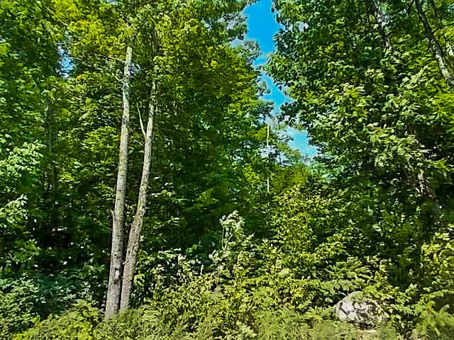 0 Tasker Road Augusta, ME 04330 - Photo 21 of 27 Tasker Rd. 00, Augusta-2