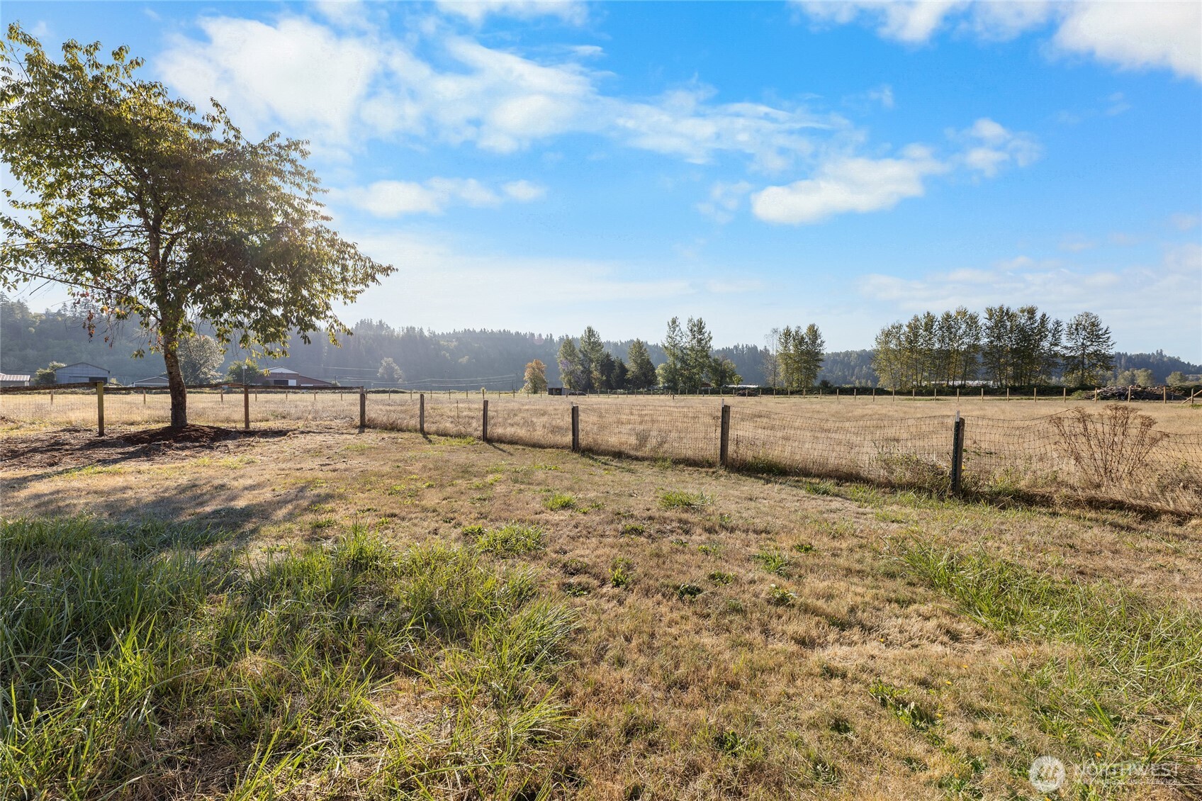 18008 202nd Street East Orting, WA 98360 - Photo 32 of 35 a view of a yard