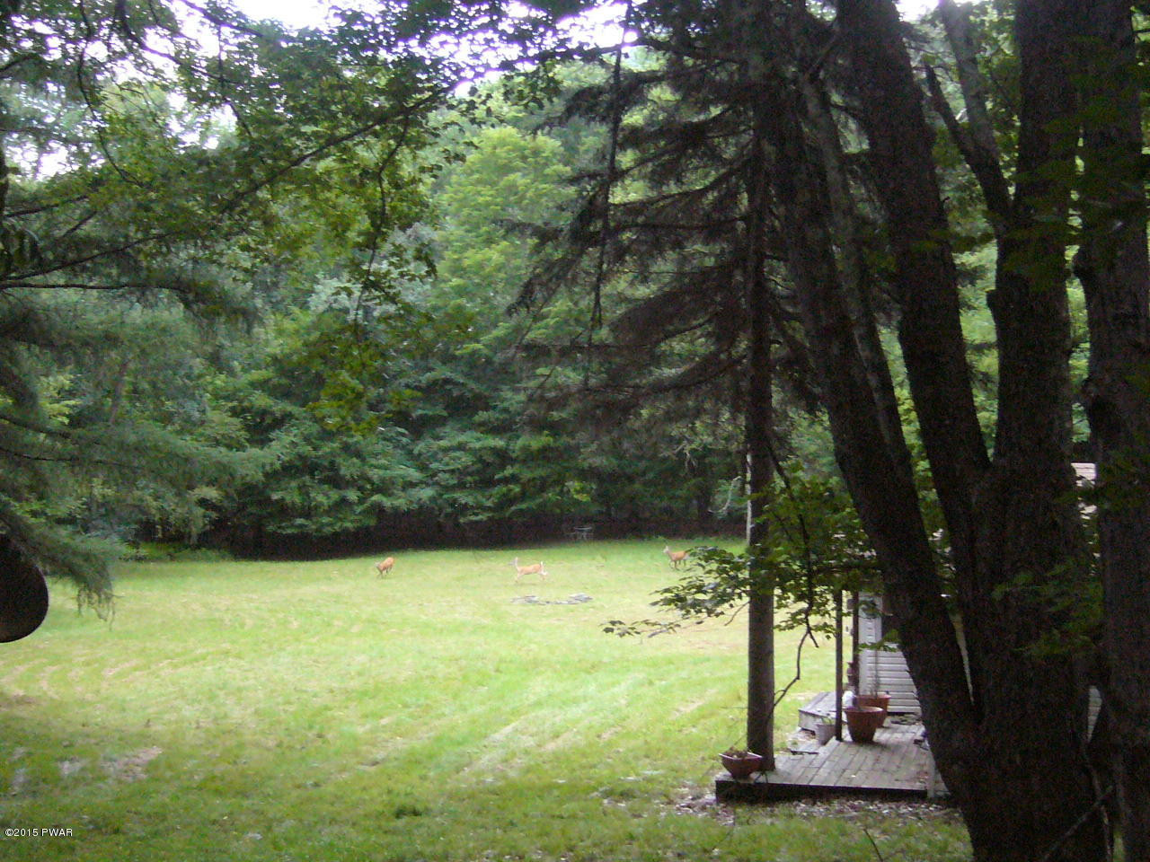 215 O And W Road Fishs Eddy, NY 13774 - Photo 4 of 43 Gallery Image 4