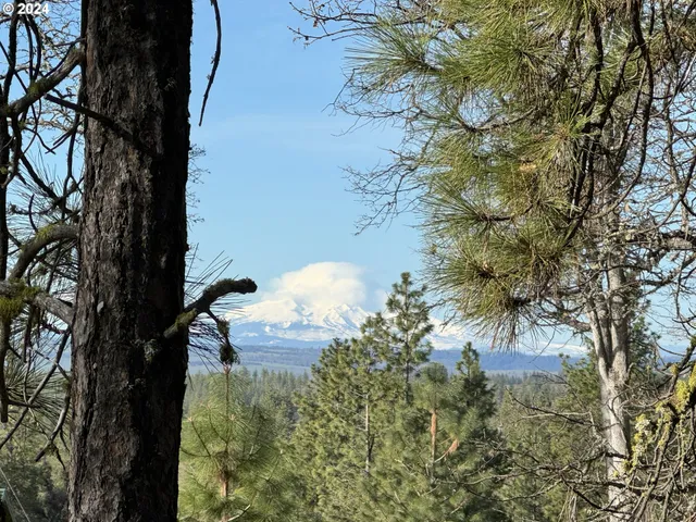 a view of a yard in front of the house