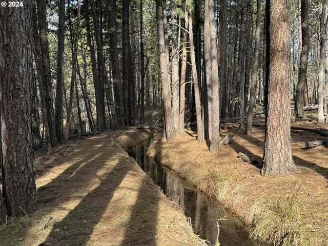 a view of backyard with tub