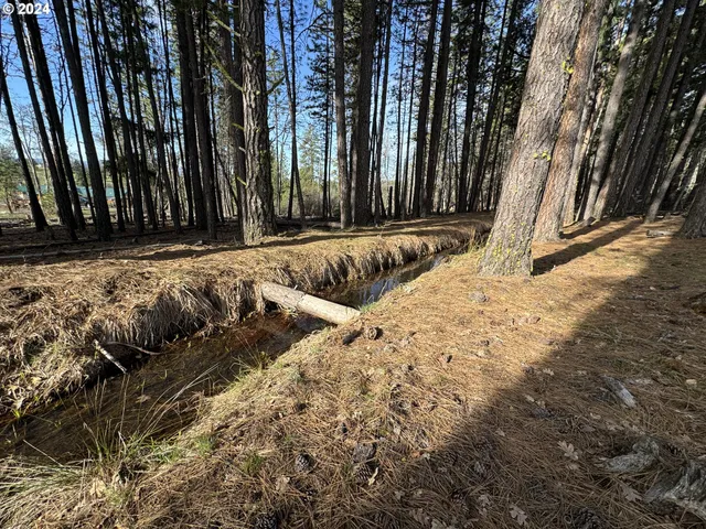 a view of a backyard of the house