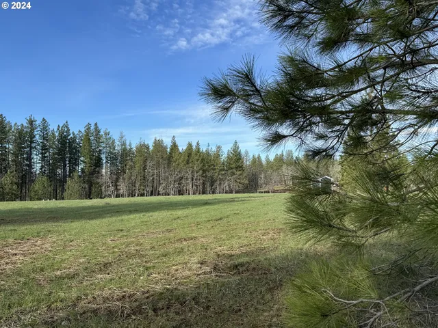 a view of outdoor space and yard