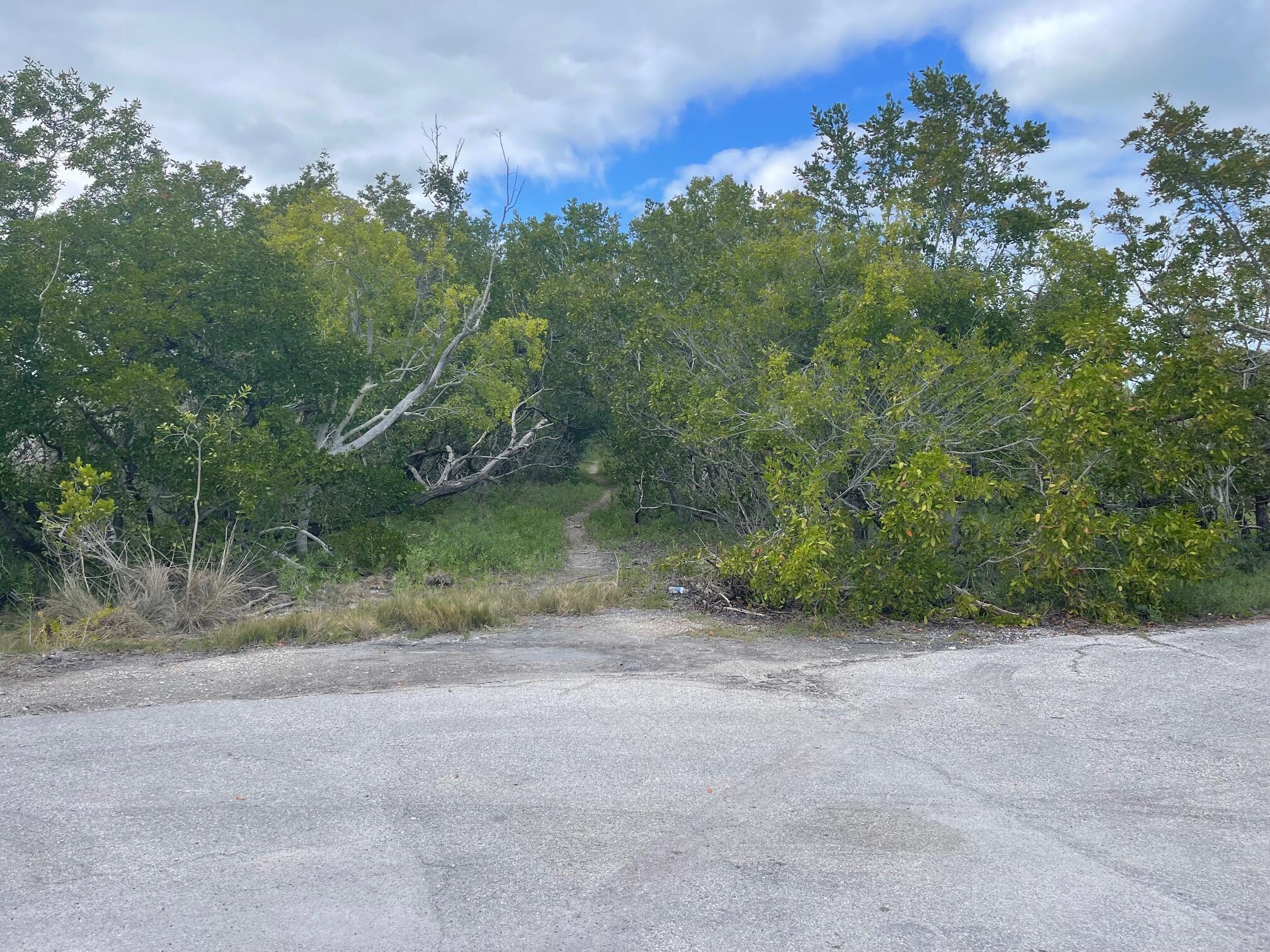 3127 Stewart Road Summerland Key, FL 33042 - Photo 63 of 64 Hidden path