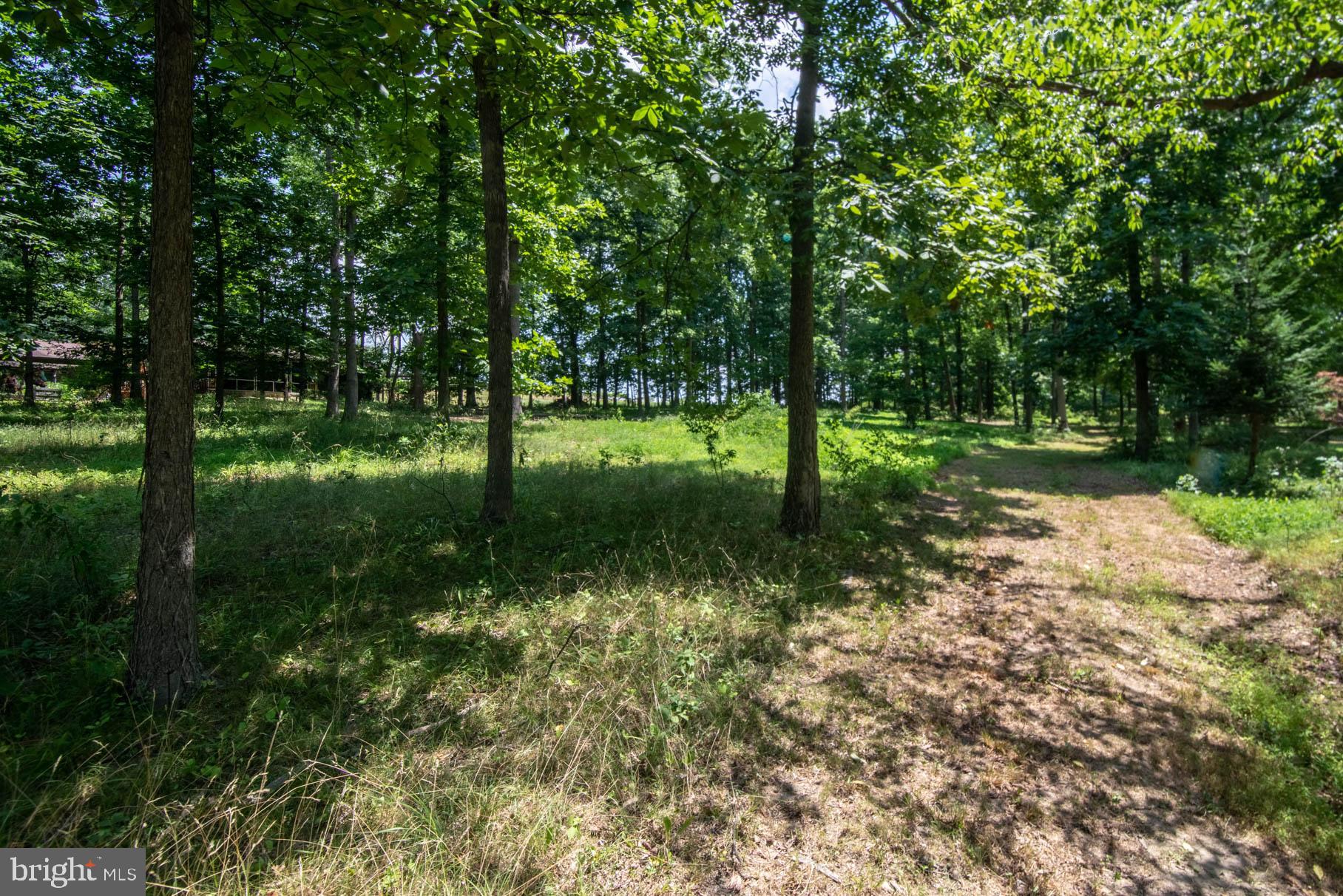 341 Carr Hill Road Gettysburg, PA 17325 - Photo 2 of 13